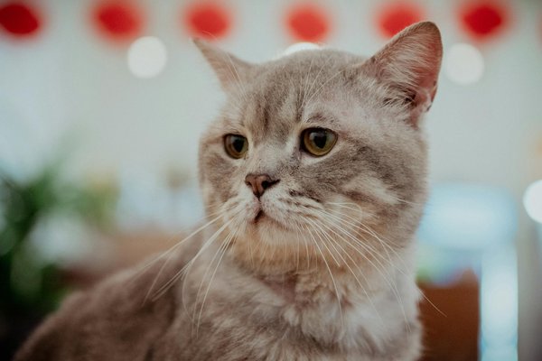 Consejos Esenciales para una Vida Equilibrada y Consciente